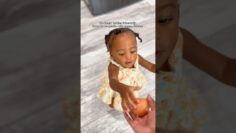 [ID: nQL7b2kf8xg] Youtube Automatic