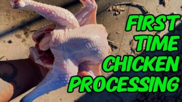 [ID: Ns5W8xs05PA] Youtube Automatic