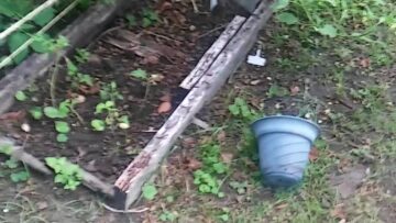 [ID: nsSQJprW8n0] Youtube Automatic