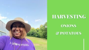 [ID: NtQCUMFGxfI] Youtube Automatic