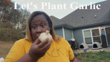 [ID: NV-4dzK7fXo] Youtube Automatic