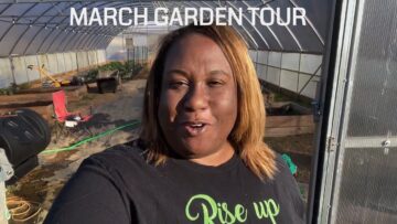 [ID: NvmSZexzoic] Youtube Automatic