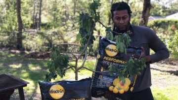 [ID: nWQ4Ro7WlL4] Youtube Automatic