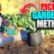 How to Garden for Beginners?
