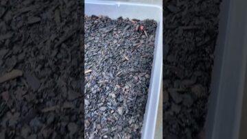 [ID: O3KVm6ktaPM] Youtube Automatic