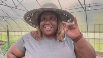 [ID: o5hXDvZaLho] Youtube Automatic