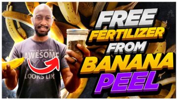 [ID: o9KVFsa5udM] Youtube Automatic