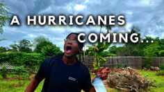 [ID: ofCaaNGcAQg] Youtube Automatic