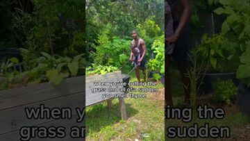 [ID: ogOK8PoDOzI] Youtube Automatic