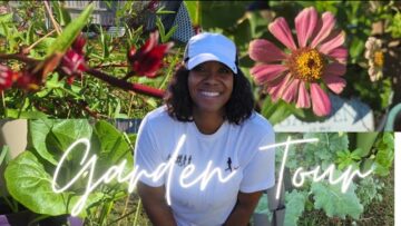 [ID: Oh4VIRm2NhM] Youtube Automatic