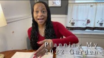 [ID: ok0atzLt6kA] Youtube Automatic