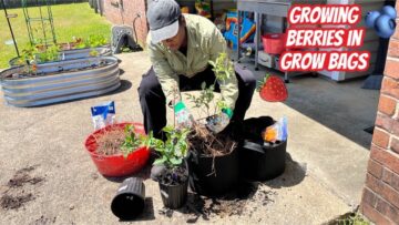 [ID: Ok85nK7mLfg] Youtube Automatic