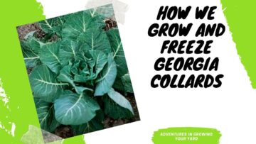 [ID: oKSvQkVtHF4] Youtube Automatic