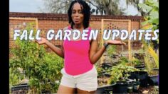 [ID: oNbFqsStOt8] Youtube Automatic