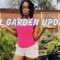 Fall Garden Updates #florida
