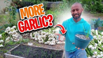 [ID: OoiuA2pfMOE] Youtube Automatic