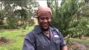 [ID: oPemY0_IM3c] Youtube Automatic