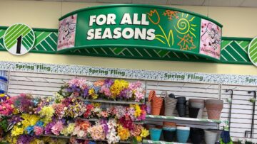 [ID: oQFQhCshqKs] Youtube Automatic