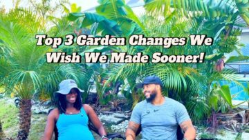 [ID: OqJlxnrfk2c] Youtube Automatic