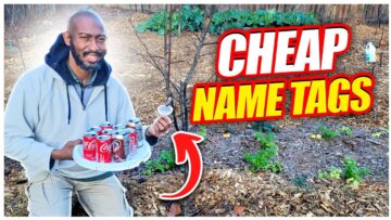 [ID: OSFGBrv5Dsw] Youtube Automatic