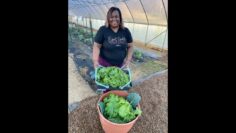 [ID: ou9Jmu0d3Hg] Youtube Automatic