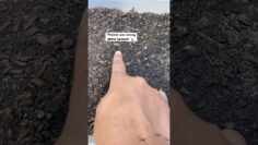 [ID: P1nwvGRiedU] Youtube Automatic