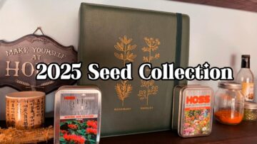 [ID: P2cKOUsOAtM] Youtube Automatic