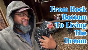 [ID: p3Cv-4EtLRo] Youtube Automatic