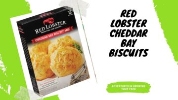 [ID: p54YPp9IVVM] Youtube Automatic