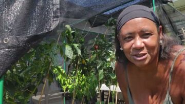 [ID: p6wSMNDgGWk] Youtube Automatic