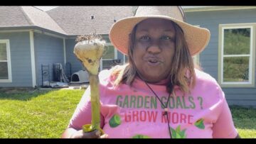 [ID: pBd5NE7d_nc] Youtube Automatic