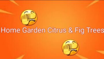 [ID: PbfMY65cdIE] Youtube Automatic