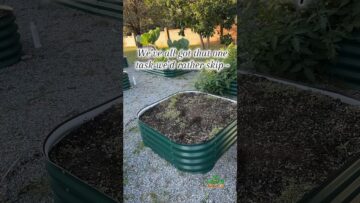 [ID: Pbt_aDMA3fg] Youtube Automatic