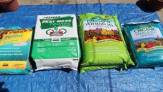 [ID: pcByqNTuvQY] Youtube Automatic