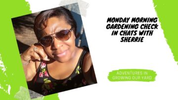 [ID: pD9YLAP6jmQ] Youtube Automatic