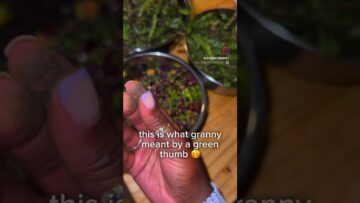 [ID: PDUaJyK6nWw] Youtube Automatic