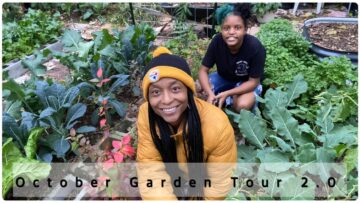 [ID: pFCmZa0G5To] Youtube Automatic