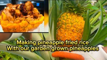 [ID: PHyDhvyrc54] Youtube Automatic