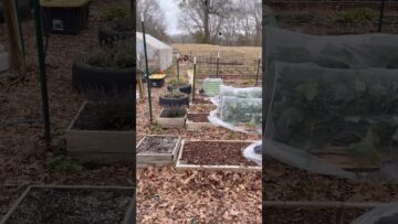 [ID: PiJHn5BFPvM] Youtube Automatic