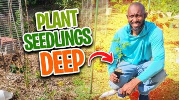 [ID: PLMOL2Zlbm8] Youtube Automatic