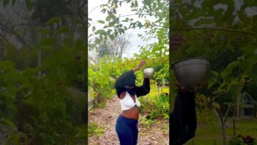 [ID: PN6M1VgfUbM] Youtube Automatic