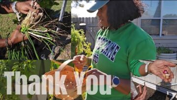 [ID: PNJdMv1b4uw] Youtube Automatic