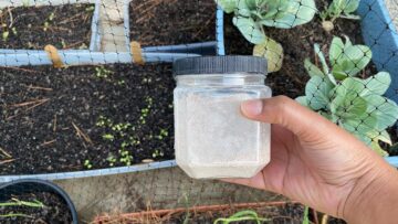 [ID: -pNV5aHIUD0] Youtube Automatic