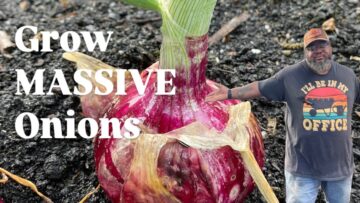 [ID: Po1gf6U7KC4] Youtube Automatic