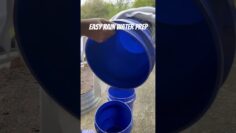 [ID: ppdt9seREGw] Youtube Automatic