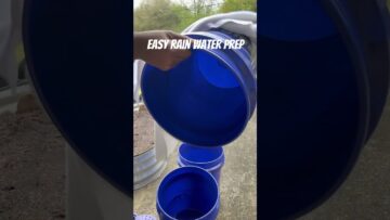 [ID: ppdt9seREGw] Youtube Automatic