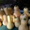 The Harvest Of Butternut Squash/Tomatoes