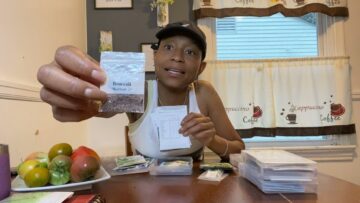 [ID: -pQ3MBNZvnw] Youtube Automatic