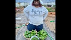 [ID: PusRGrB77a4] Youtube Automatic