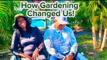 [ID: pXUHRQkOqsI] Youtube Automatic